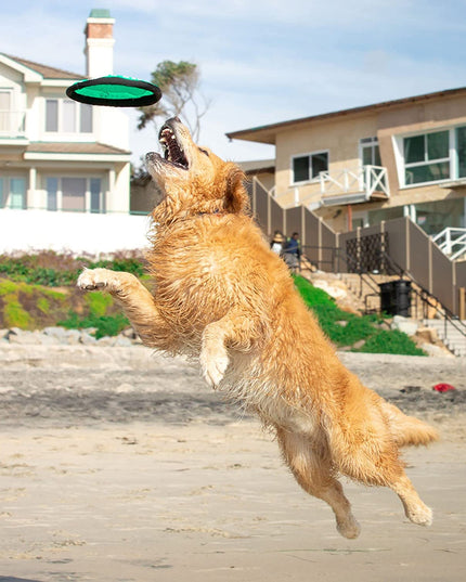 Flippy Flopper 9" Flying Disc Soft Dog Toy, Floats in Water & Safe on Teeth, for All Breeds, Pack of 5 (Colors May Vary)