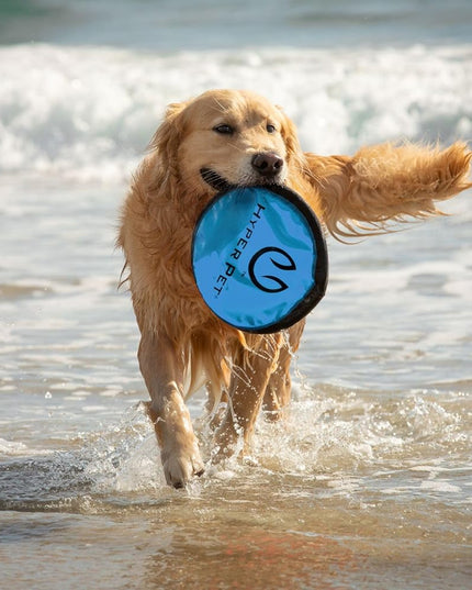 Flippy Flopper 9" Flying Disc Soft Dog Toy, Floats in Water & Safe on Teeth, for All Breeds, Pack of 5 (Colors May Vary)