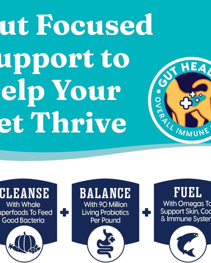 Indoor Dry Cat Food - Let'S Stay in Cat Food Dry Kibble for Indoor Cats - Hairball & Sensitive Stomach - Grain & Gluten Free - Probiotics & Fiber for Digestive Health - Salmon - 12Lb