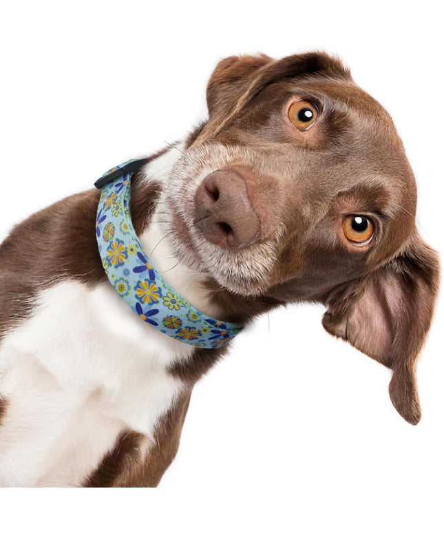 Adjustable Soft Dog Collar: Print Flower Pink Multicolor Cute Patterns for XS Small Medium Large Pet Girl Boy Puppy Walking Running Training