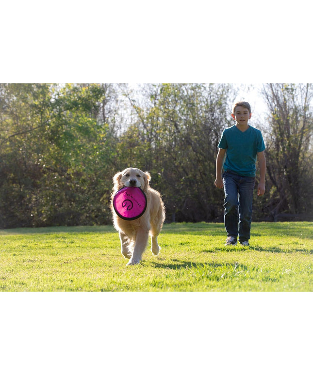 Flippy Flopper 9" Flying Disc Soft Dog Toy, Floats in Water & Safe on Teeth, for All Breeds, Pack of 5 (Colors May Vary)