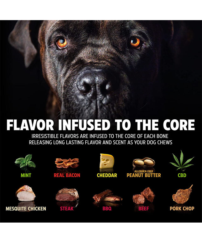 Dinosaur Barkbone - Nylon Dog Bone for Aggressive Chewers - Bacon Flavor - 8.5"