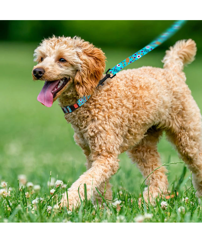 Floral Dog Collar Nylon Pattern Flower Print Adjustable Pet Collars for Dogs Small Medium Large Puppy (Neck Fit 10"-13", Aquamarine)